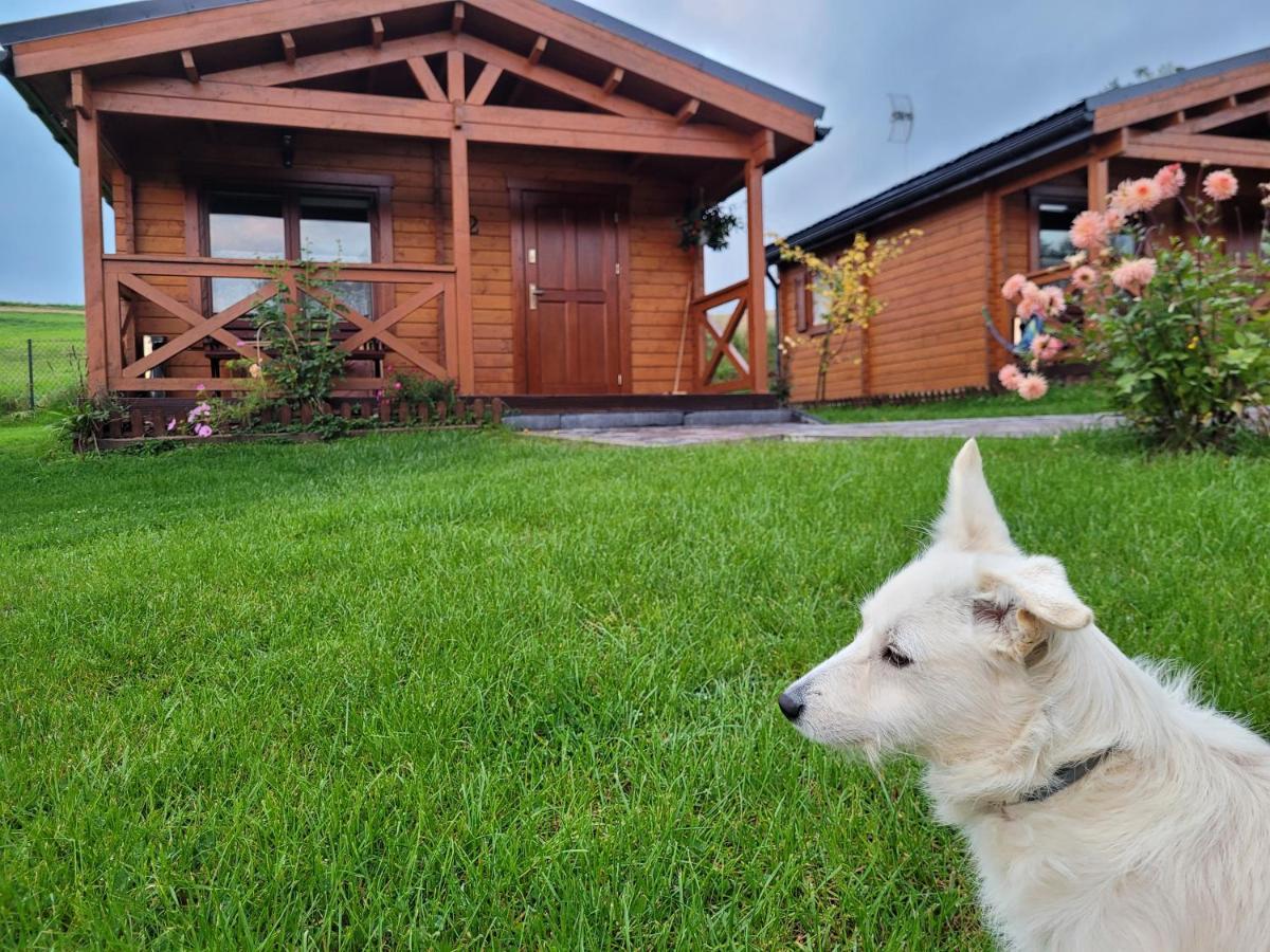Domki Pod Lasem Villa Rokiciny Podhalanskie ภายนอก รูปภาพ