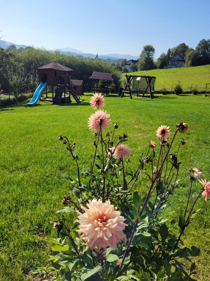 Domki Pod Lasem Villa Rokiciny Podhalanskie ภายนอก รูปภาพ